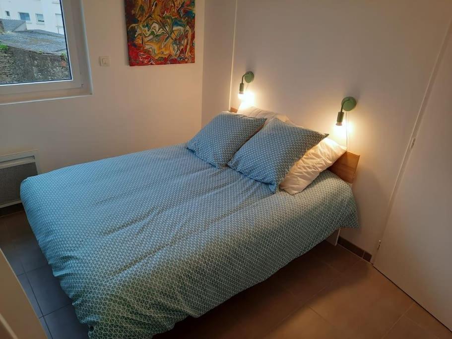 Bel Appartement Vannes Centre Kültér fotó